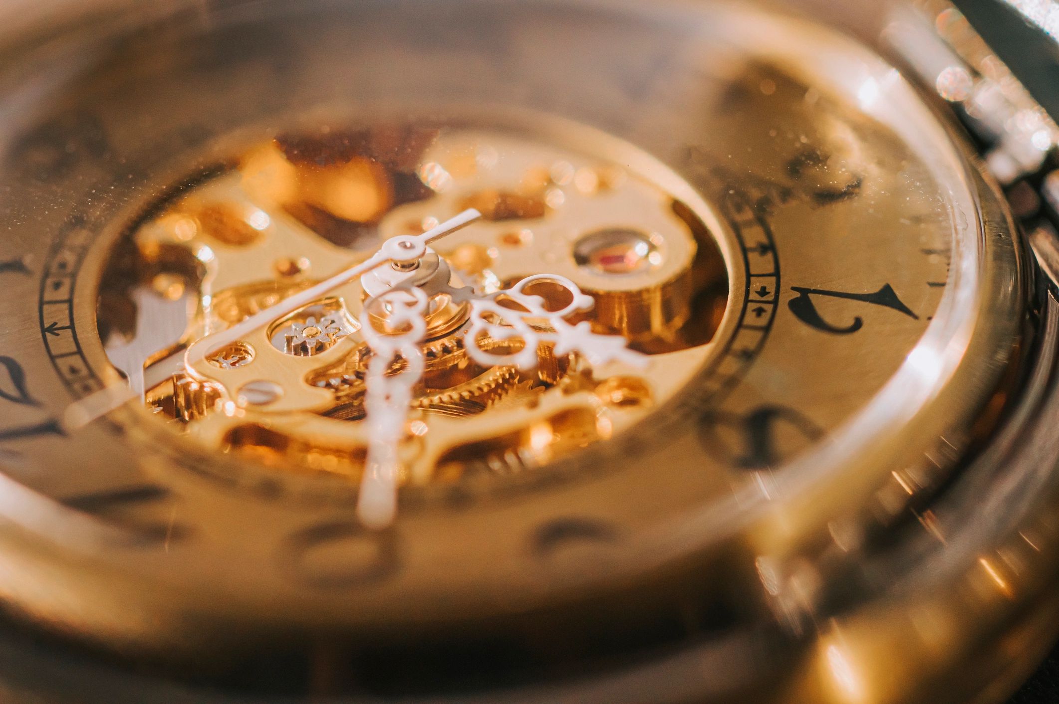 premium customer service luxury watch